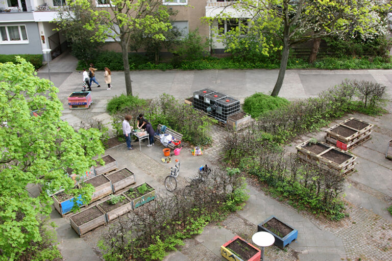 Projekt Essbare Strasse im Brunnenviertel